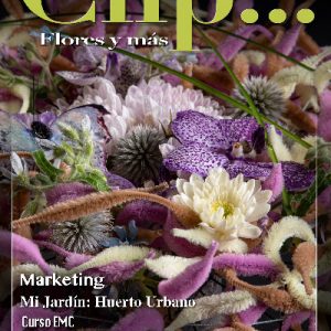 Clip nº 128, Sept/oct 2019