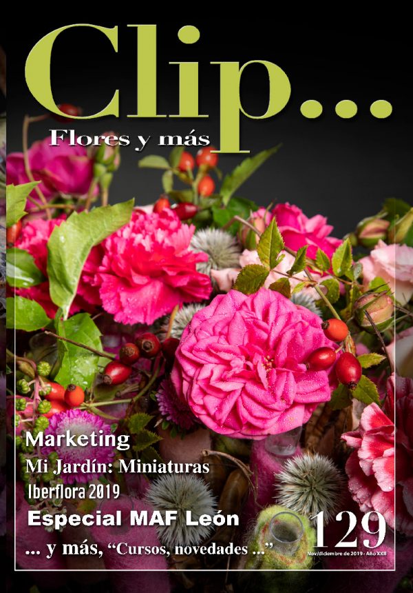 Clip... nº 129, Nov/dic 2019
