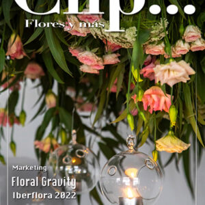 Clip nº 147 Nov/dic 2022